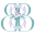 Bird Bam Boutique logo